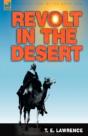 Revolt In The Desert - Preview