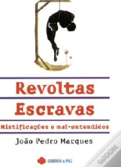 Capa do artigo Revoltas Escravas