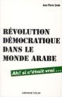 Revolution Democratique Dans Le Monde Arabe - Preview