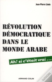 Capa do artigo Revolution Democratique Dans Le Monde Arabe