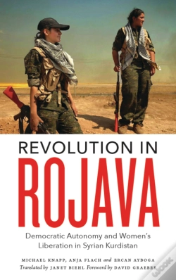 Capa do artigo Revolution In Rojava