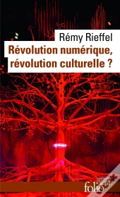 Révolution Numérique, Révolution Culturelle ?