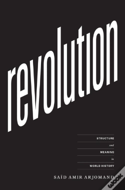 Capa do artigo Revolution