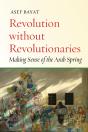 Revolution Without Revolutionaries - Preview