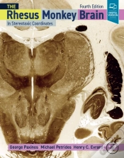 Capa do artigo Rhesus Monkey Brain In Stereotaxic Coordinates