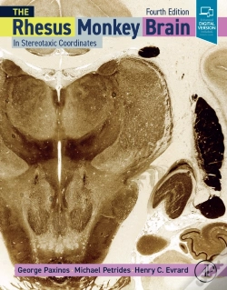 Capa do artigo Rhesus Monkey Brain In Stereotaxic Coordinates