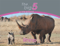 Rhino - Preview