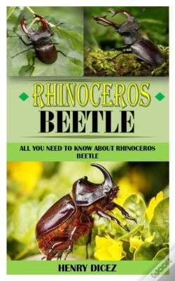 Capa do artigo Rhinoceros Beetle