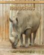 Rhinoceros - Preview