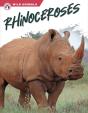 Rhinoceroses - Preview