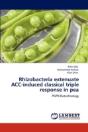 Rhizobacteria Extenuate Acc-Induced Classical Triple Response In Pea - Preview