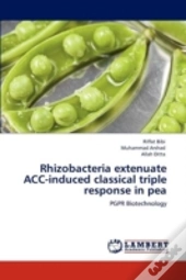 Rhizobacteria Extenuate Acc-Induced Classical Triple Response In Pea