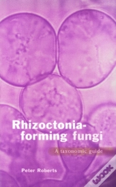 Rhizoctonia-Forming Fungi