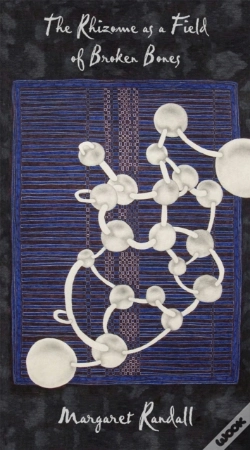 Capa do artigo Rhizome As A Field Of Broken Bones