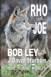 Capa do artigo Rho And Joe