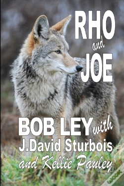 Capa do artigo Rho And Joe