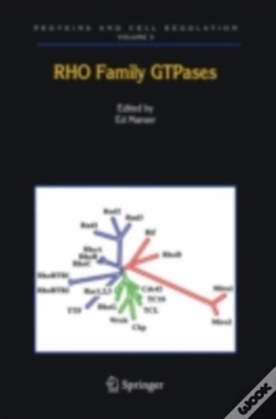 Capa do artigo Rho Family Gtpases