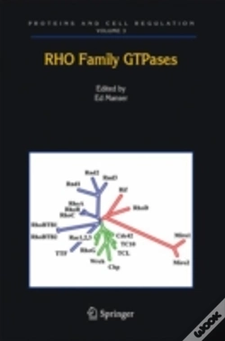 Capa do artigo Rho Family Gtpases