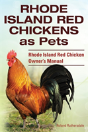 Rhode Island Red Chickens As Pets. Rhode Island Red Chicken Owner'S Manual - Preview