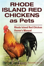 Capa do artigo Rhode Island Red Chickens As Pets. Rhode Island Red Chicken Owner