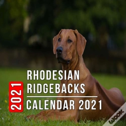 Capa do artigo Rhodesian Ridgebacks Calendar 2021