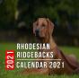 Rhodesian Ridgebacks Calendar 2021 - Preview