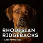 Rhodesian Ridgebacks Calendar 2021 - Preview