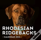 Rhodesian Ridgebacks Calendar 2021