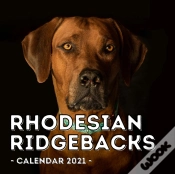 Capa do artigo Rhodesian Ridgebacks Calendar 2021