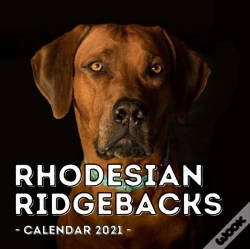 Capa do artigo Rhodesian Ridgebacks Calendar 2021