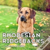 Rhodesian Ridgebacks Calendar 2021
