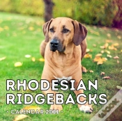 Capa do artigo Rhodesian Ridgebacks Calendar 2021
