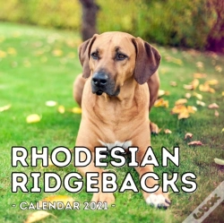 Capa do artigo Rhodesian Ridgebacks Calendar 2021