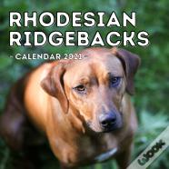 Rhodesian Ridgebacks Calendar 2021