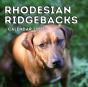 Rhodesian Ridgebacks Calendar 2021 - Preview