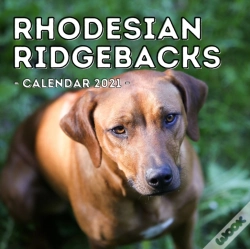 Capa do artigo Rhodesian Ridgebacks Calendar 2021
