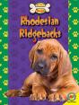 Rhodesian Ridgebacks - Preview