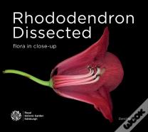 Rhododendron Dissected