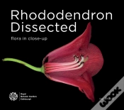 Capa do artigo Rhododendron Dissected