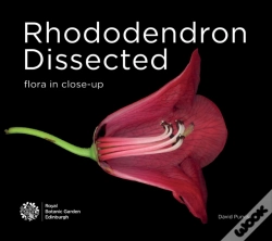 Capa do artigo Rhododendron Dissected