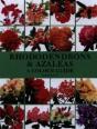Rhododendrons And Azaleas - A Colour Guide - Preview
