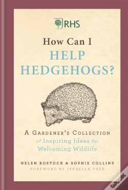 Capa do artigo Rhs How Can I Help Hedgehogs?