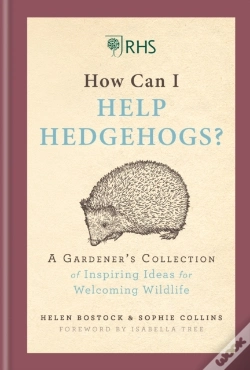Capa do artigo Rhs How Can I Help Hedgehogs?