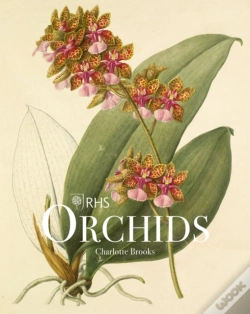 Capa do artigo Rhs Orchids