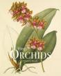 Rhs Orchids - Preview