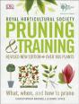 Rhs Pruning And Training - Preview