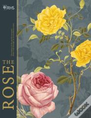 Rhs The Rose
