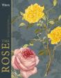 Rhs The Rose - Preview