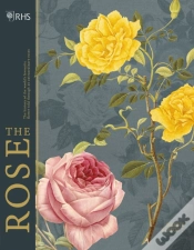 Capa do artigo Rhs The Rose