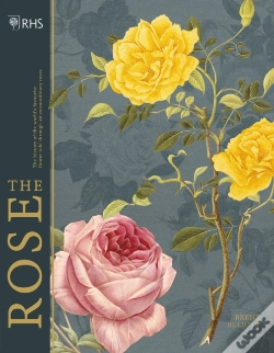 Capa do artigo Rhs The Rose